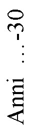 Casella di testo: Anni  -30